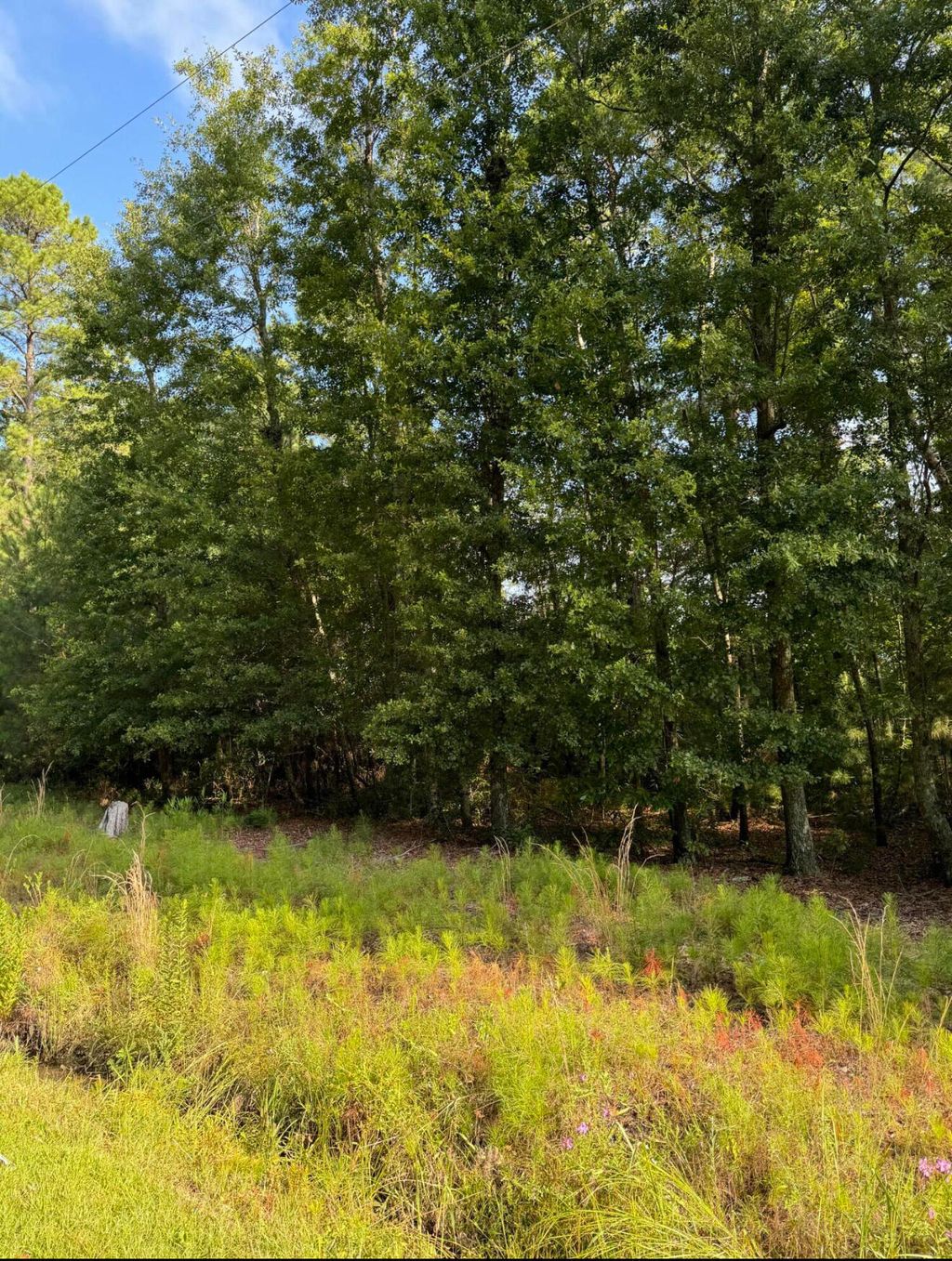Photo of 1042 Millies Way Drive, Moncks Corner, SC 29461 (MLS # 25026614)