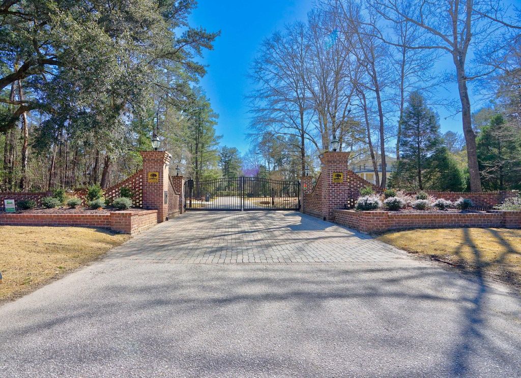 Photo of 107 Boyle Way, Summerville, SC 29485 (MLS # 25017658)