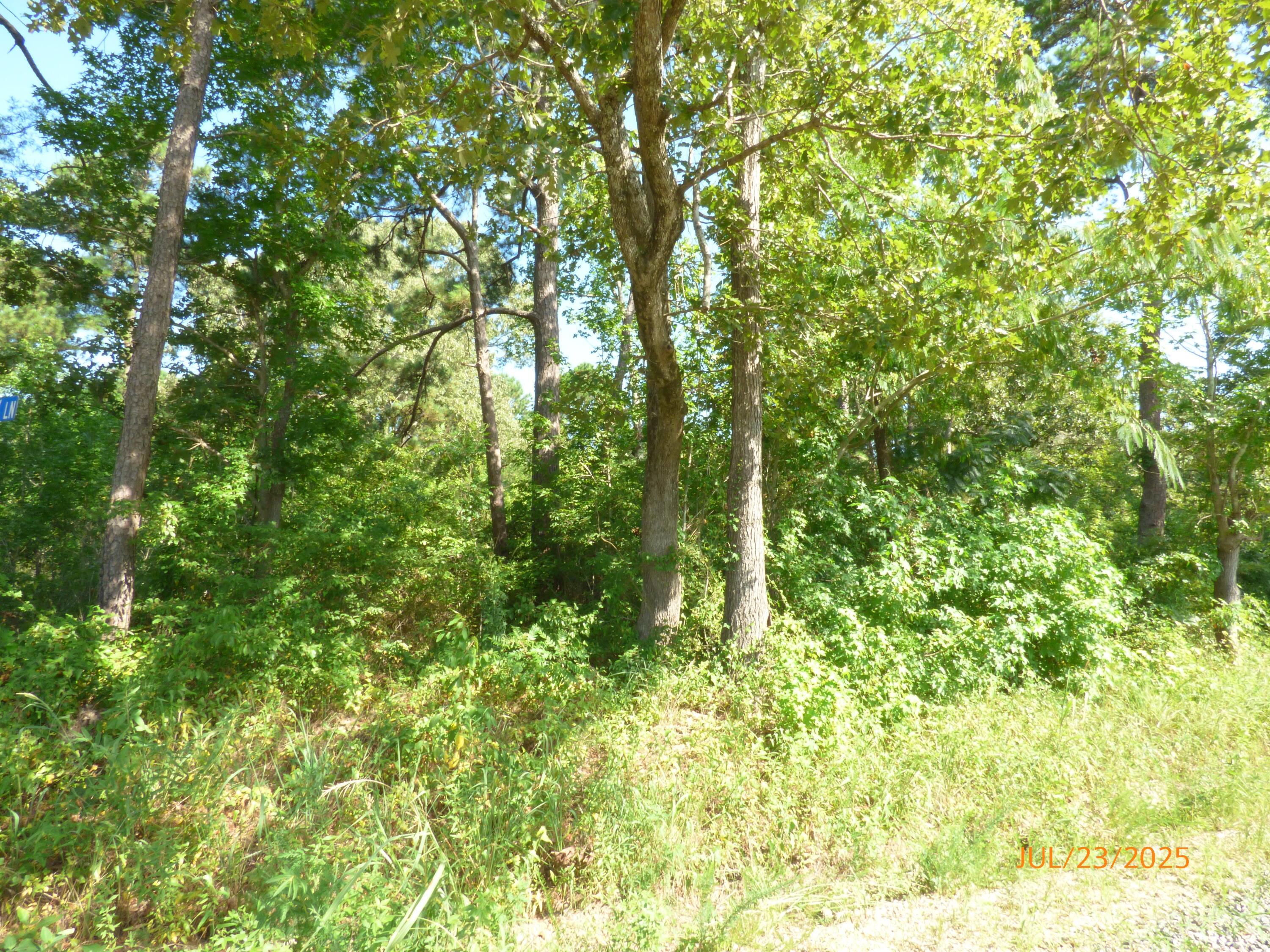 0 Big Woods Road