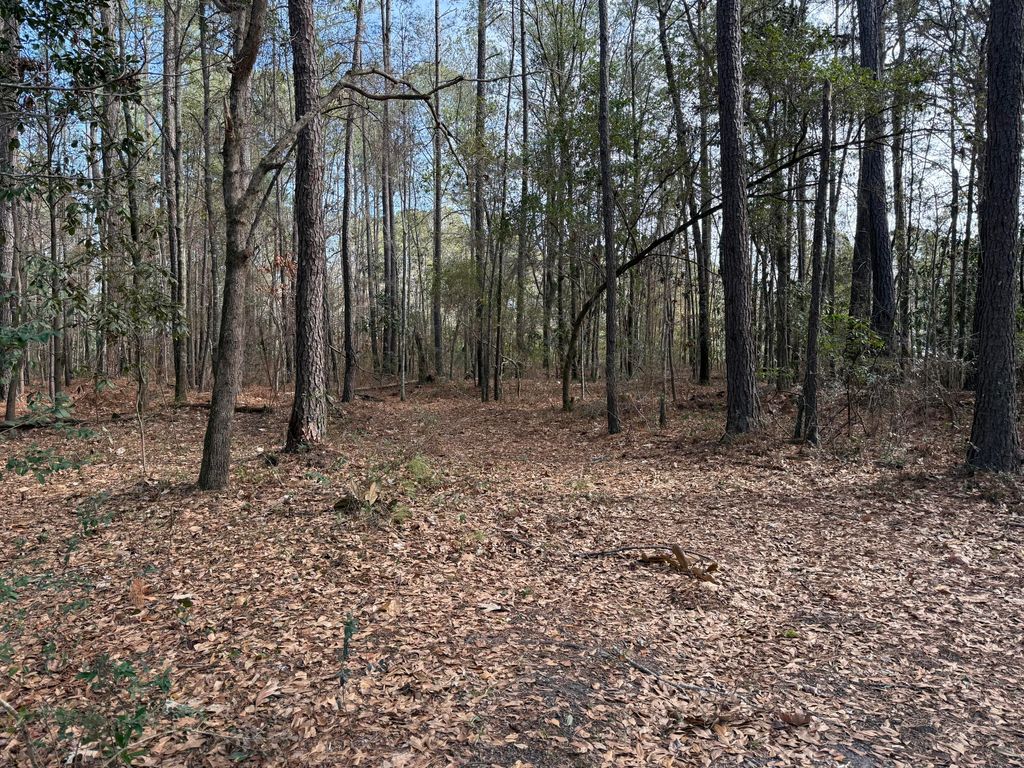 Photo of 0 Melinda Drive, Moncks Corner, SC 29461 (MLS # 26001853)