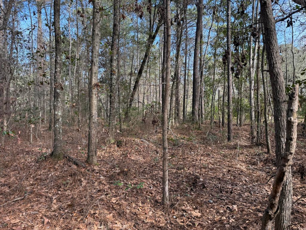 Photo of 0 Melinda Drive, Moncks Corner, SC 29461 (MLS # 26001853)