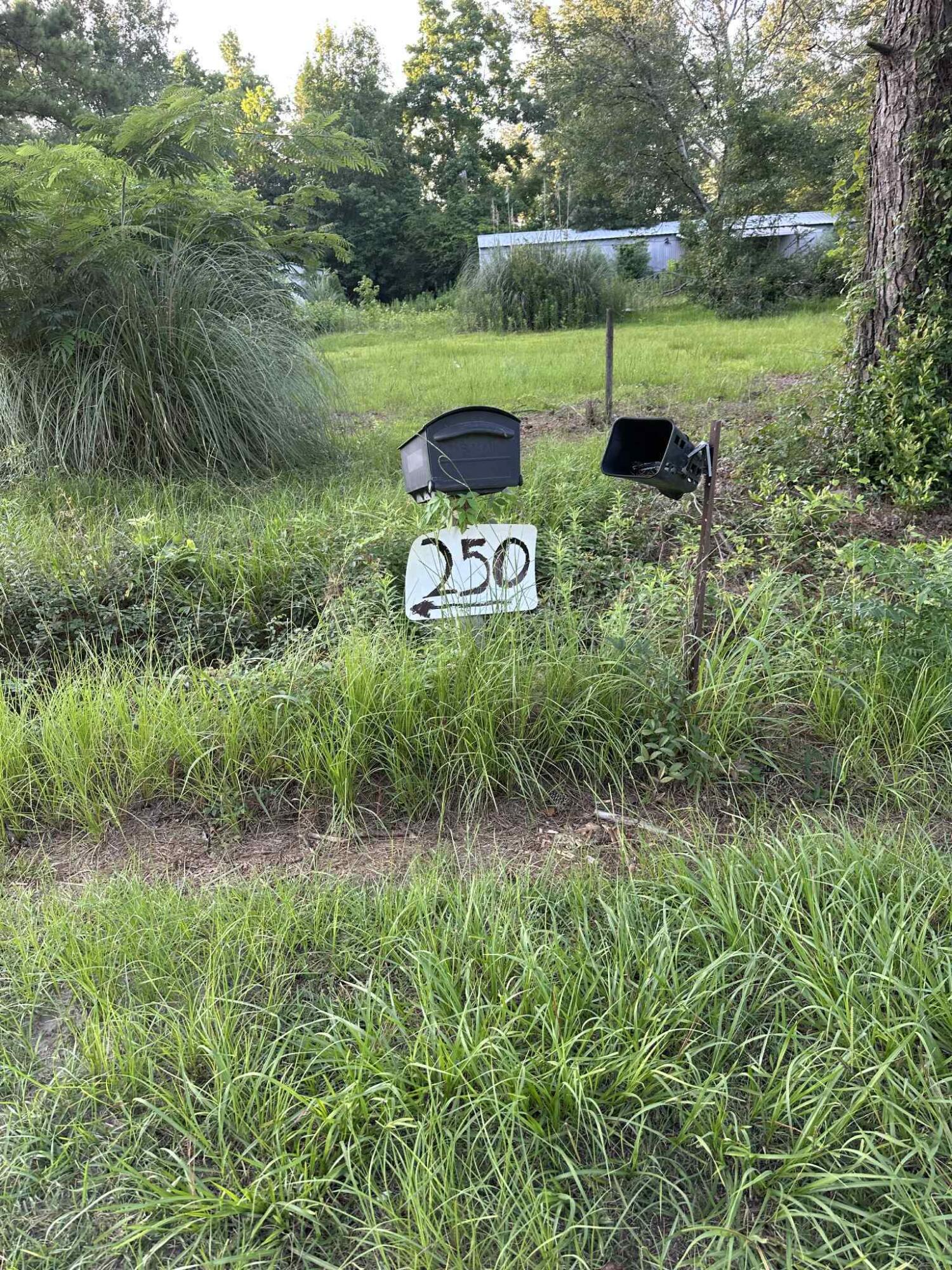 250 Lindaville Lane