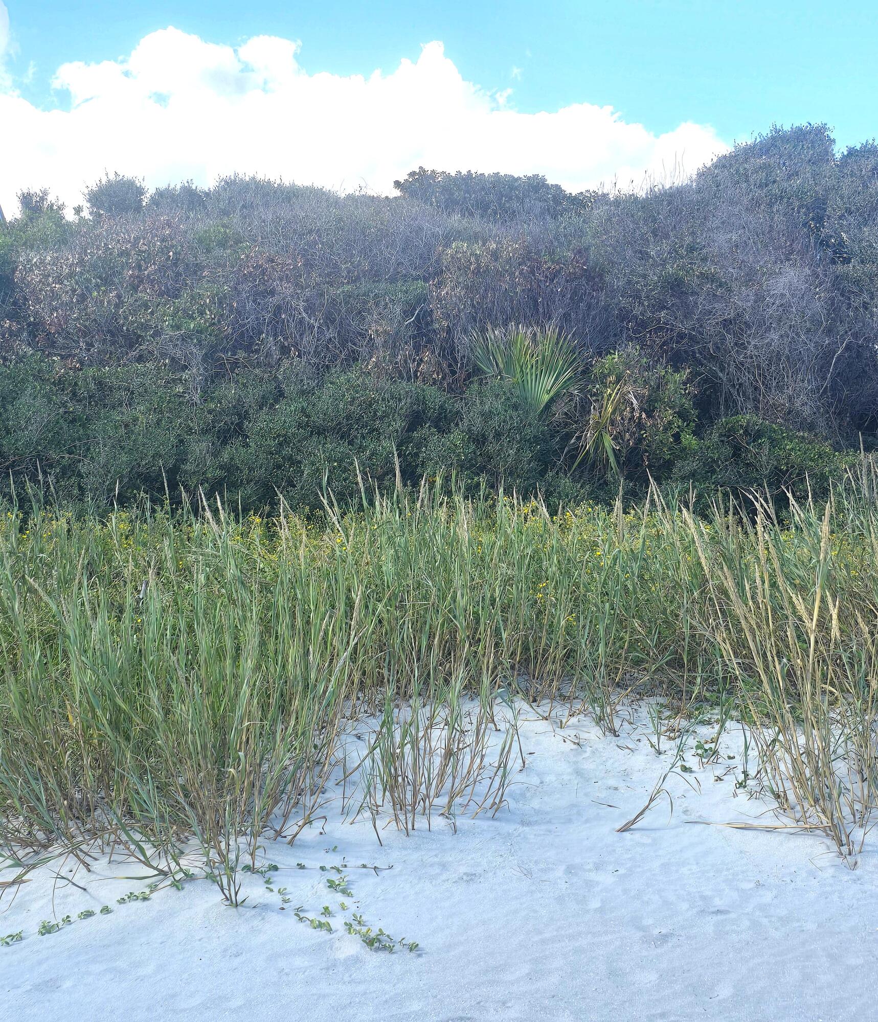 1217 E Ashley Avenue