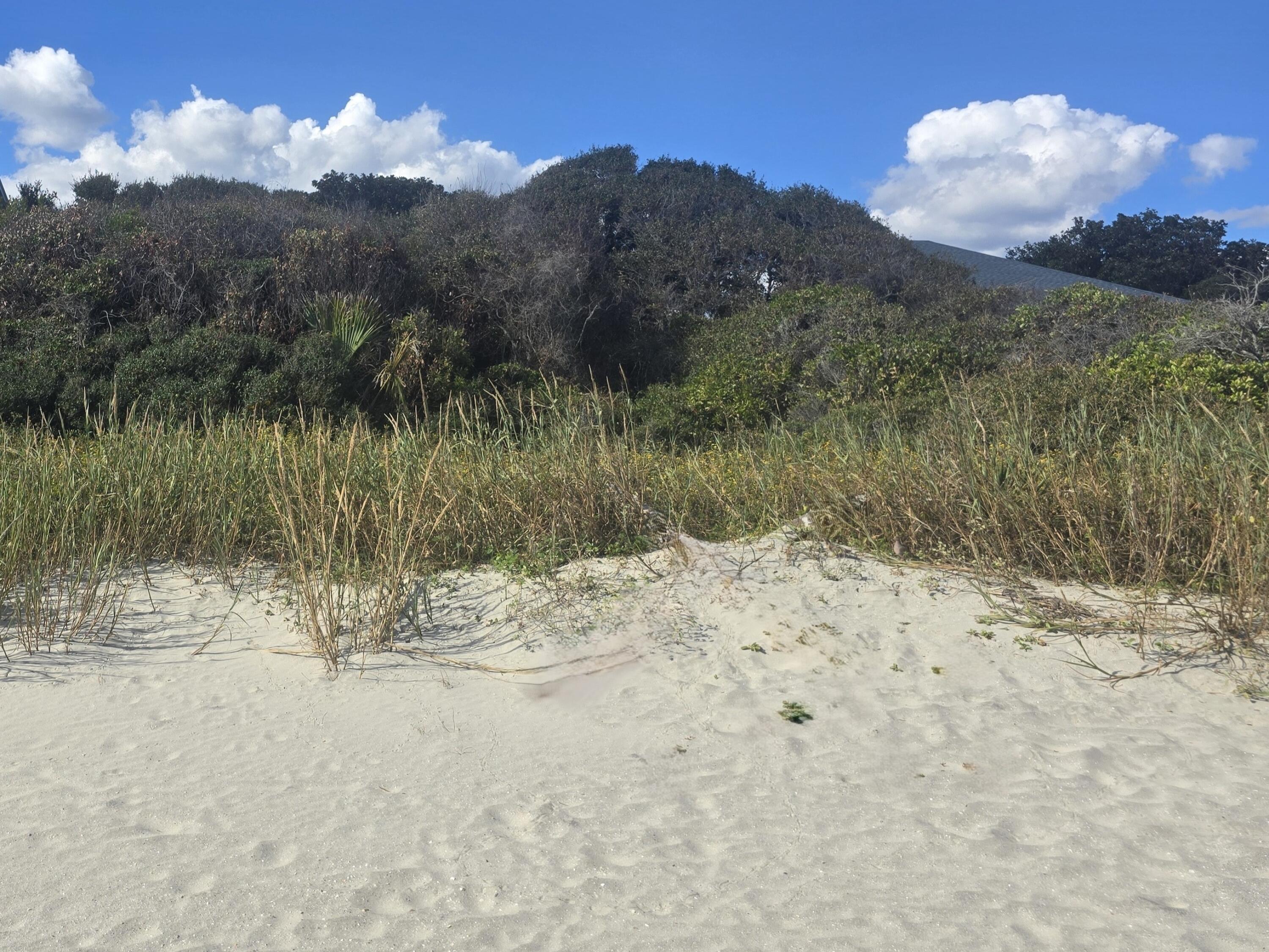 1217 E Ashley Avenue