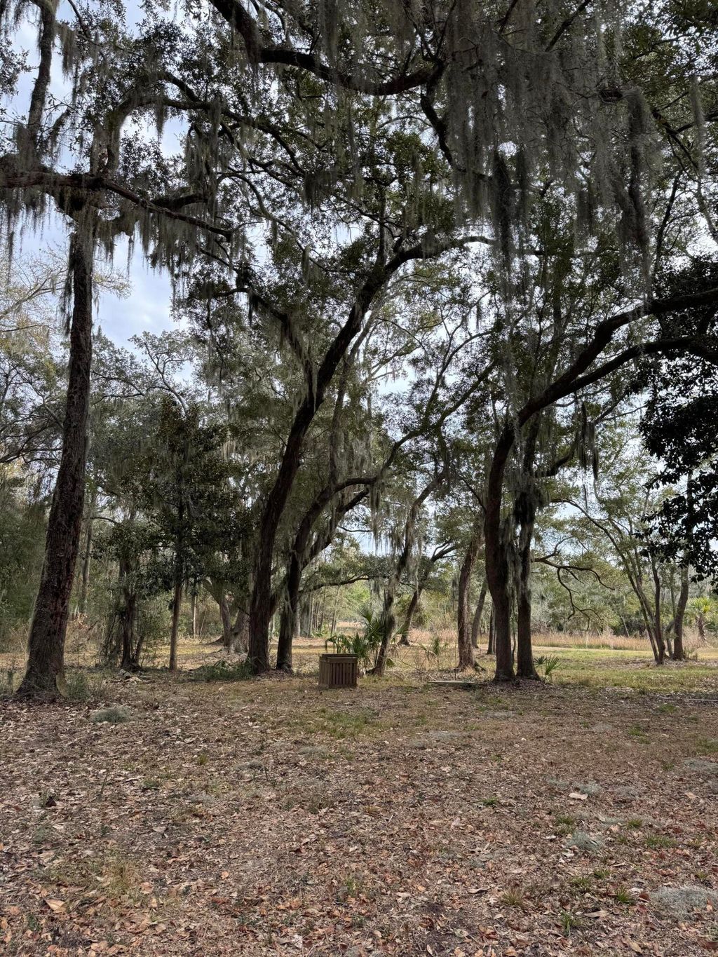 Photo of 28 Hopkinson Place Drive, Edisto Island, SC 29438 (MLS # 26003436)