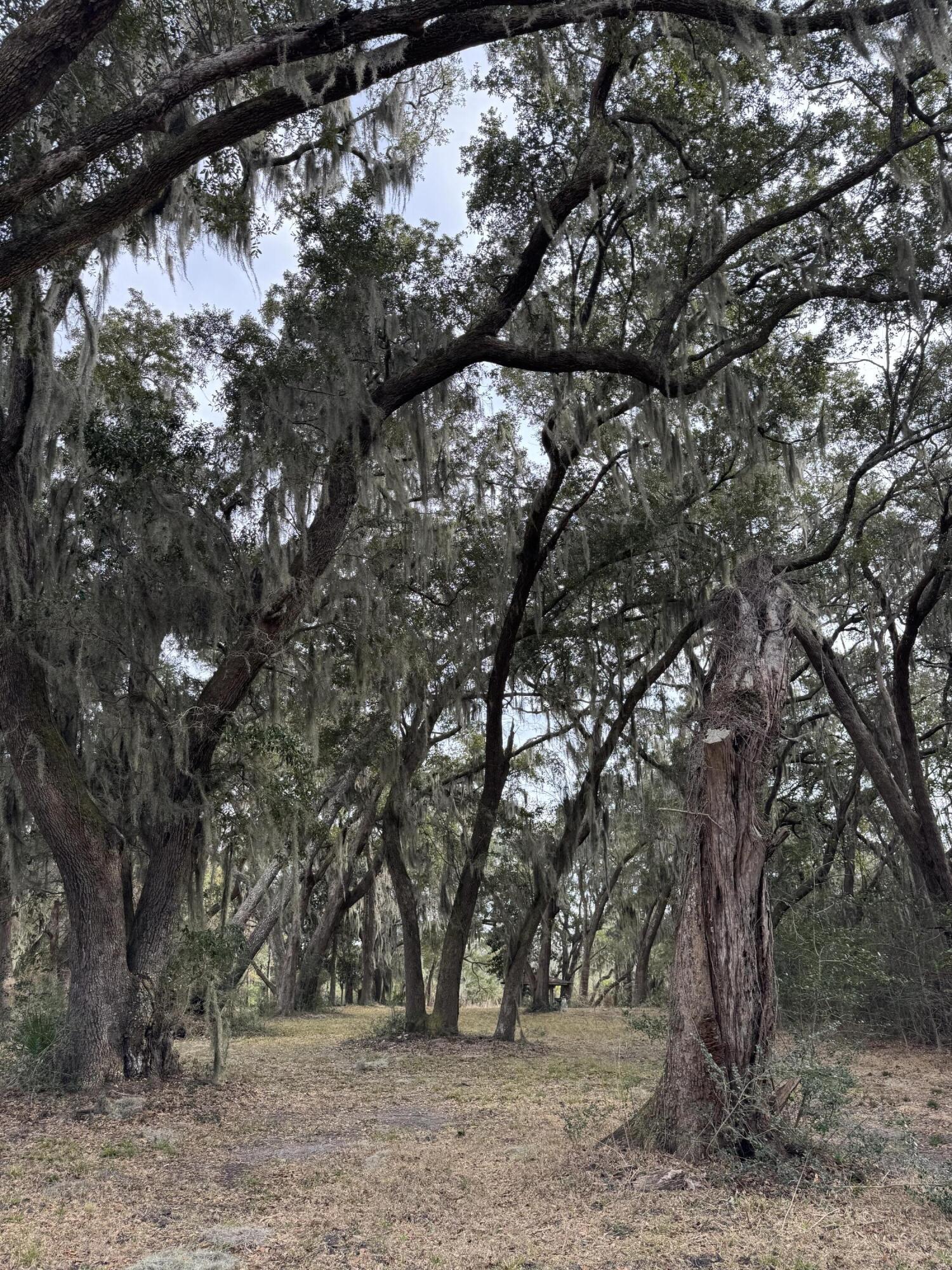 28 Hopkinson Place Drive