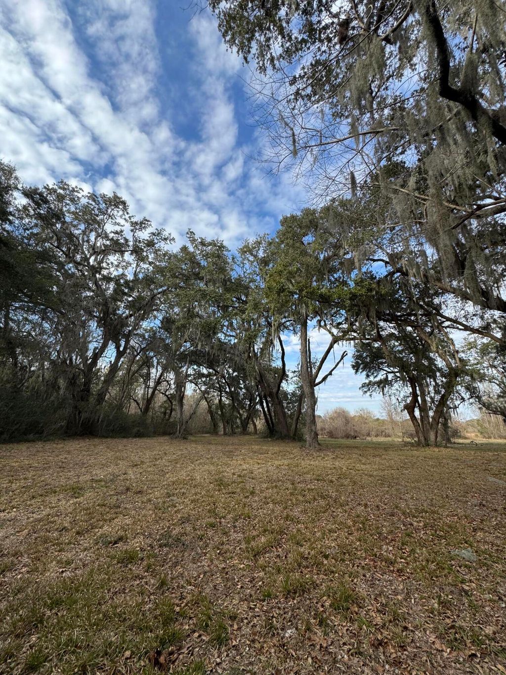 Photo of 28 Hopkinson Place Drive, Edisto Island, SC 29438 (MLS # 26003436)