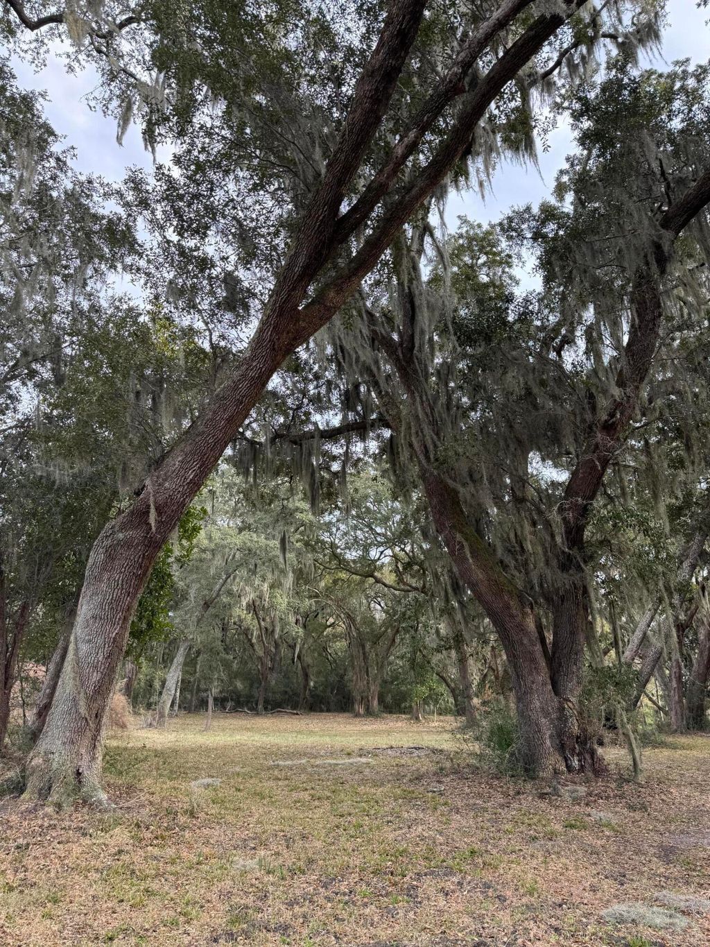 Photo of 28 Hopkinson Place Drive, Edisto Island, SC 29438 (MLS # 26003436)