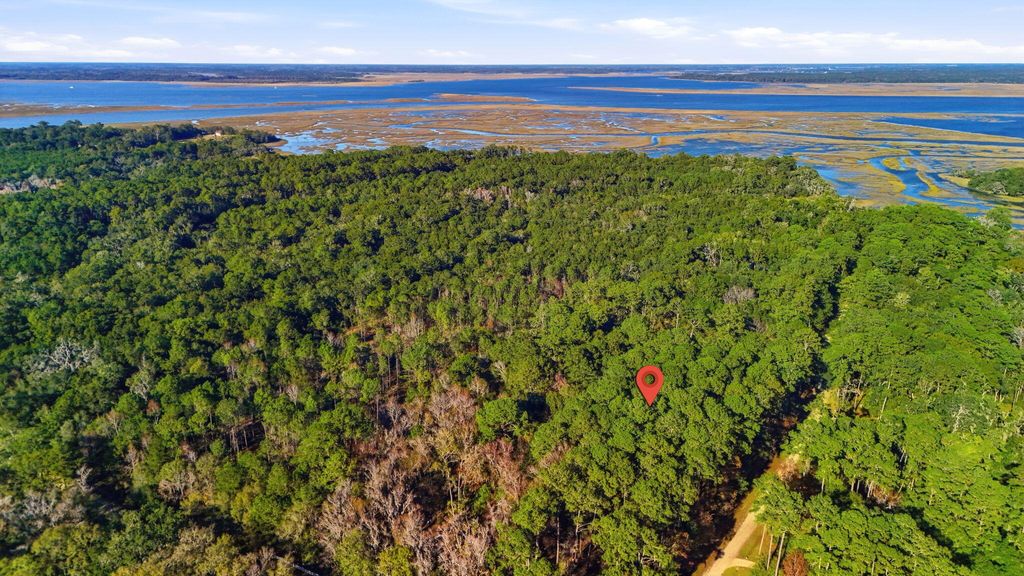Photo of 7787 Chaplin Garden Lane, Edisto Island, SC 29438 (MLS # 25032373)