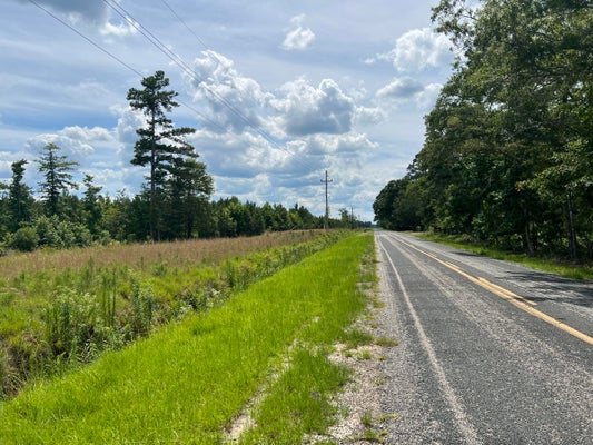 245 WILD TURKEY RD, CAMERON, SC 29030 - Image e0ffcf13da5f016e46a77dc680effb43/2149168099