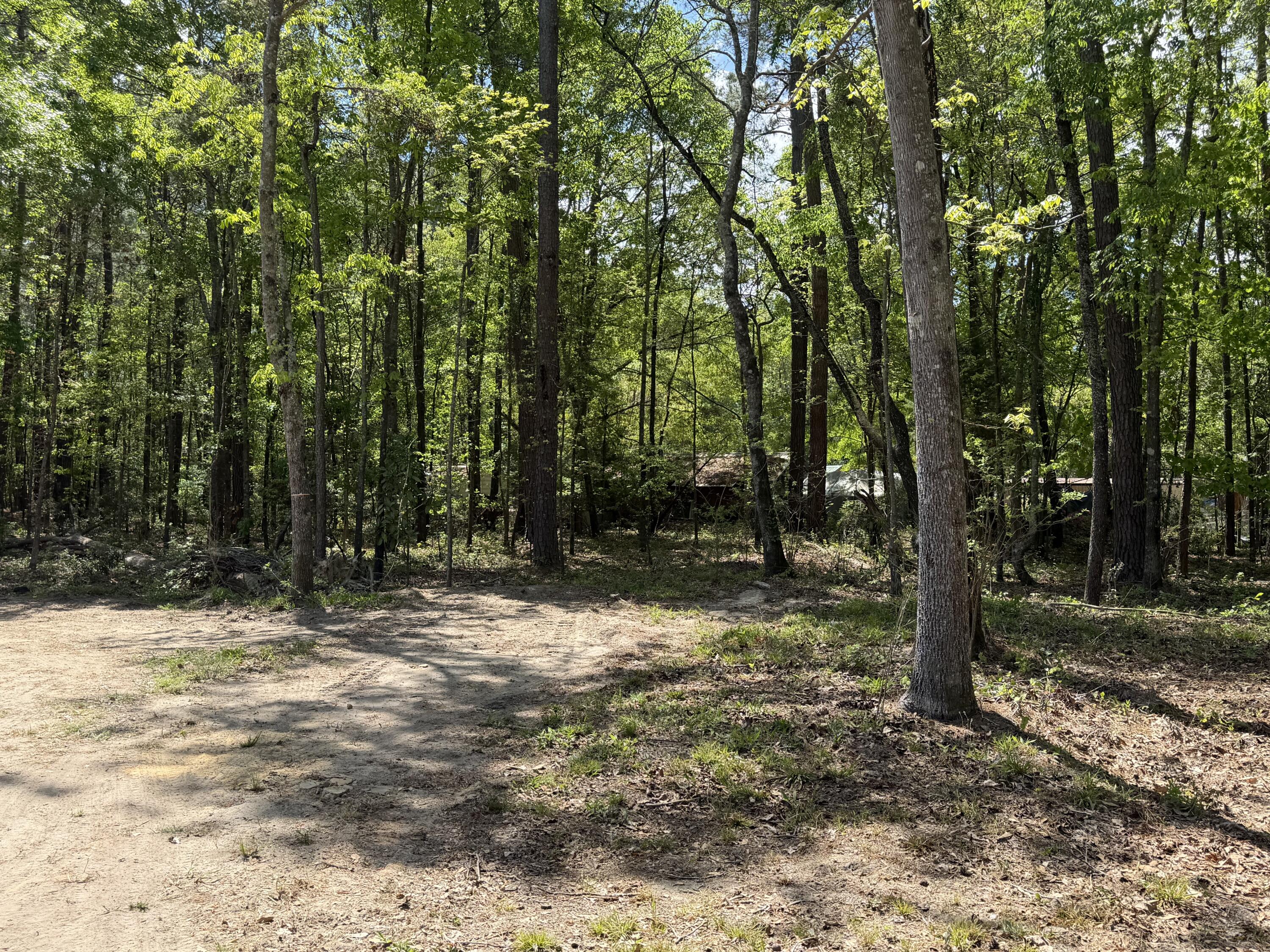 115 Ash Hill Drive