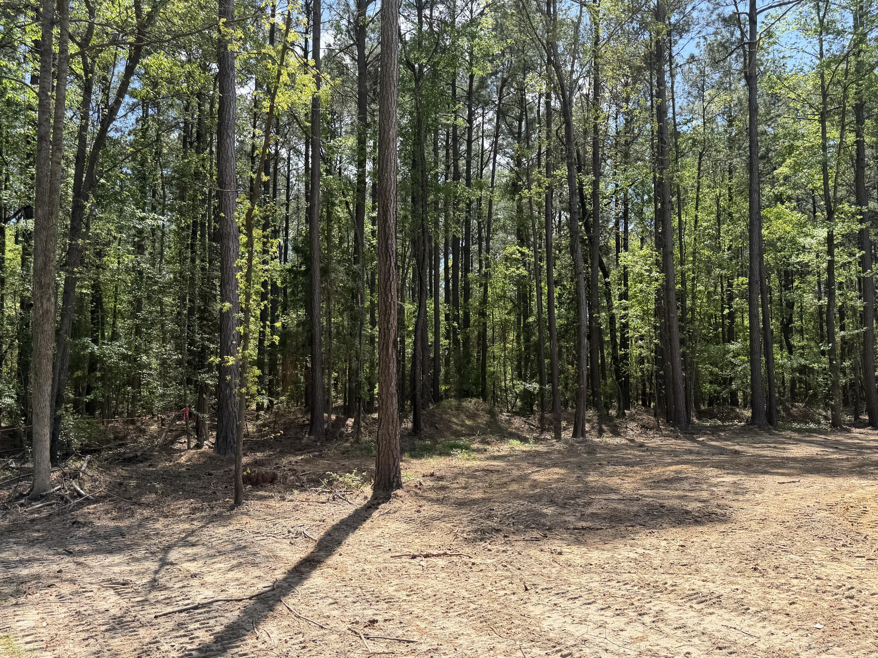 115 Ash Hill Drive
