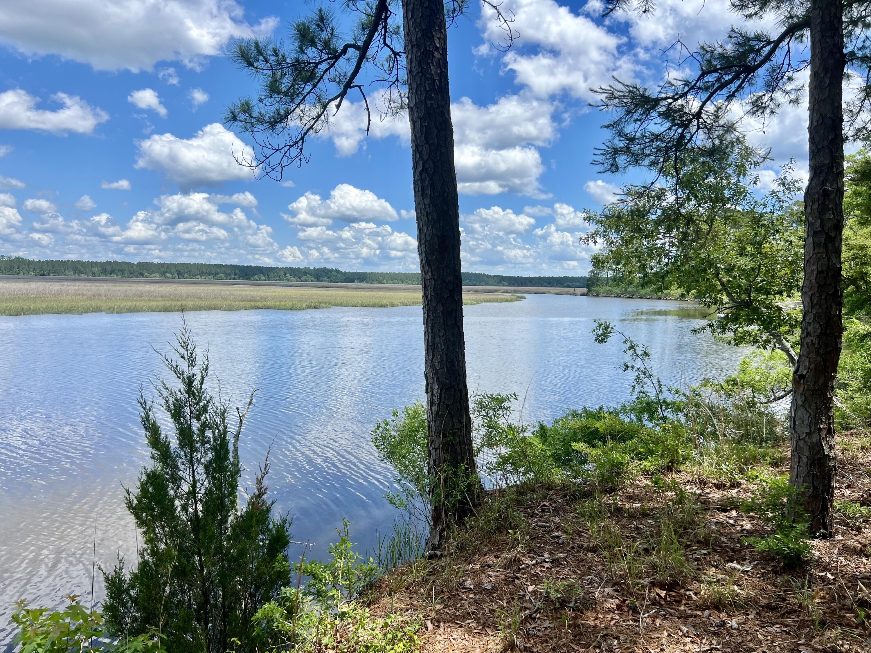 299 #3 Tilly Point Way