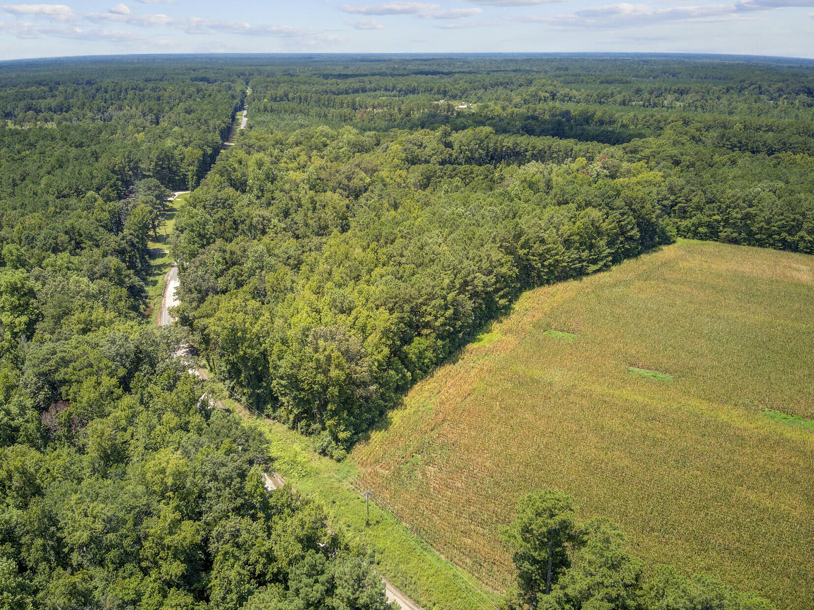 Lot 6 Hill Branch Road