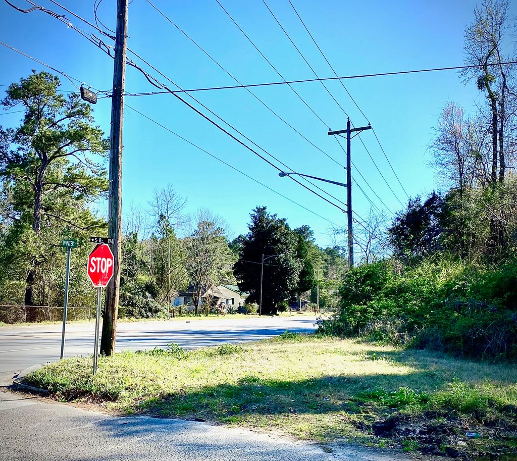 Photo of 301 S Live Oak Drive, Moncks Corner, SC 29461 (MLS # 23005827)