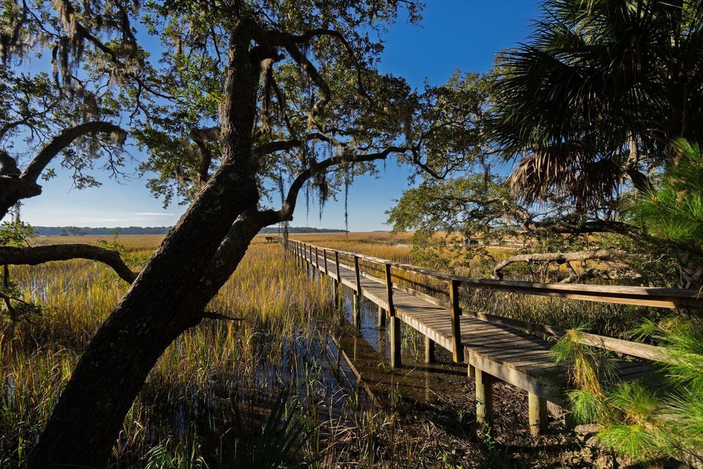 Photo of 8525 Middleton Point Lane, Edisto Island, SC 29438 (MLS # 25030842)