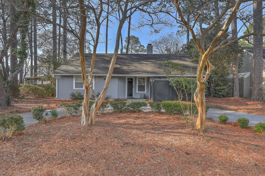 Photo of 1126 Snap Dragon Court, Mount Pleasant, SC 29464 (MLS # 26003385)