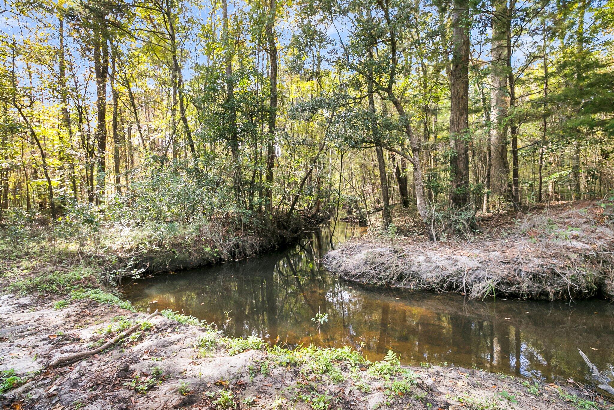 107 Weir Street, Summerville, SC, 29483