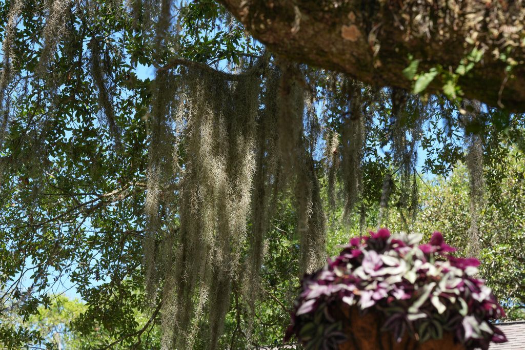 Photo of 624 Double Eagle Trace, Seabrook Island, SC 29455 (MLS # 26015147)