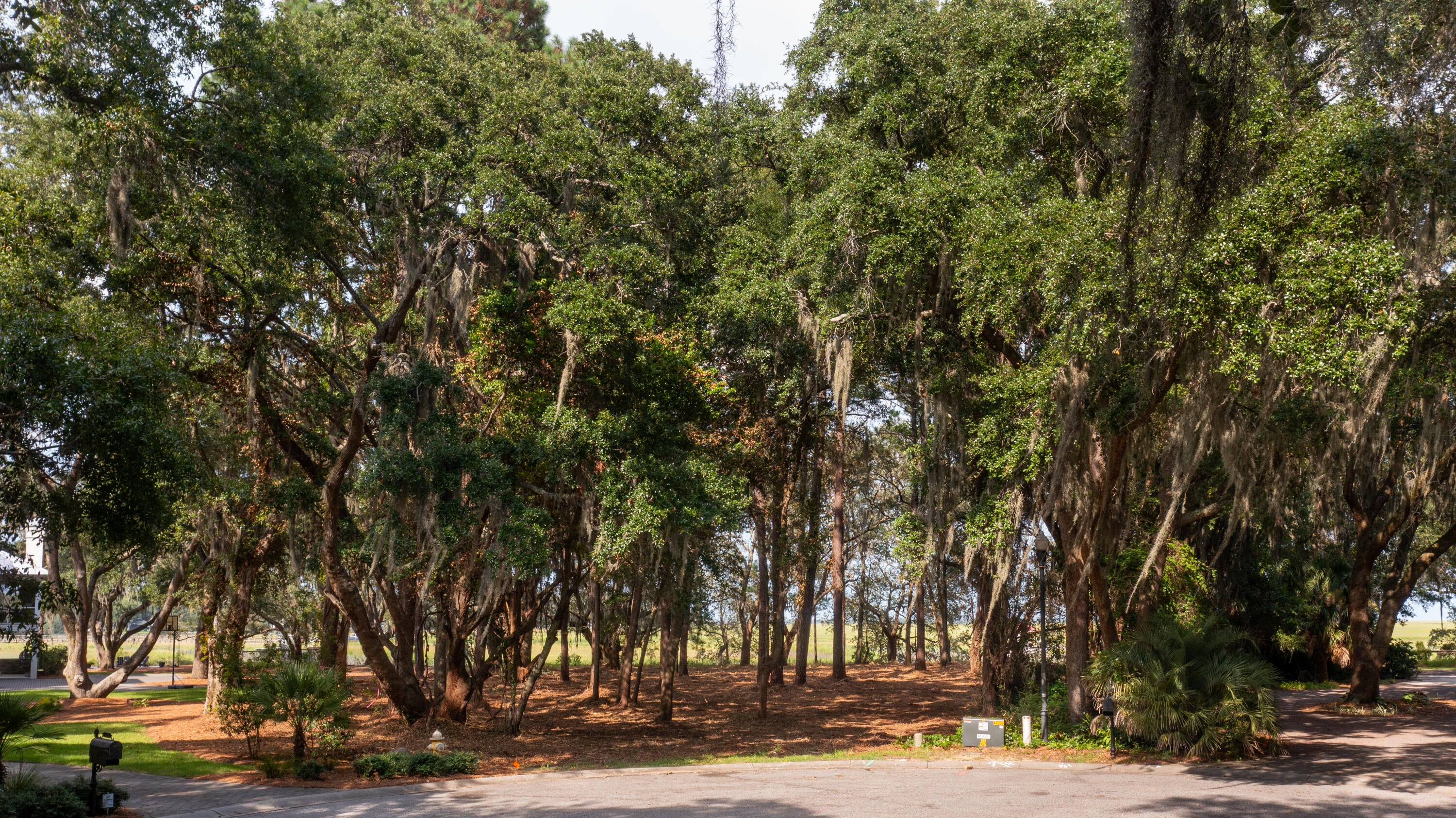 628 Parrot Point Drive