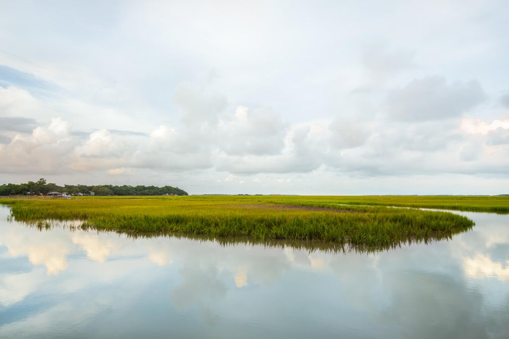 Photo of 628 Parrot Point Drive, Charleston, SC 29412 (MLS # 26022416)
