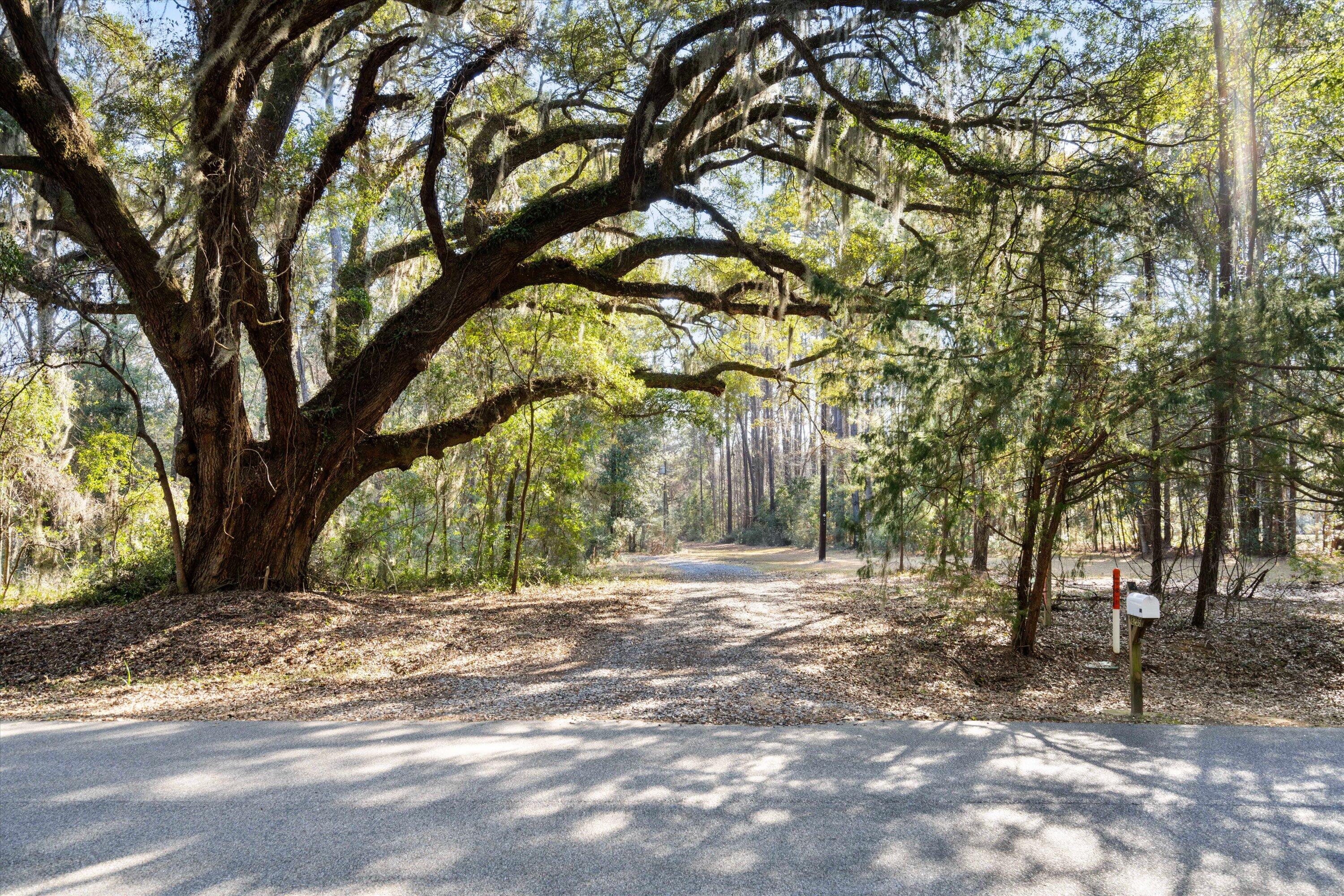8255 Chisolm Plantation Road