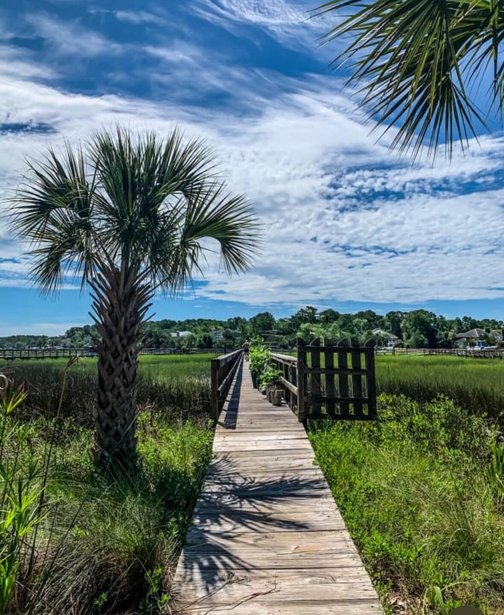 Photo of 1756 Greenspoint Court, Mount Pleasant, SC 29466 (MLS # 25027148)