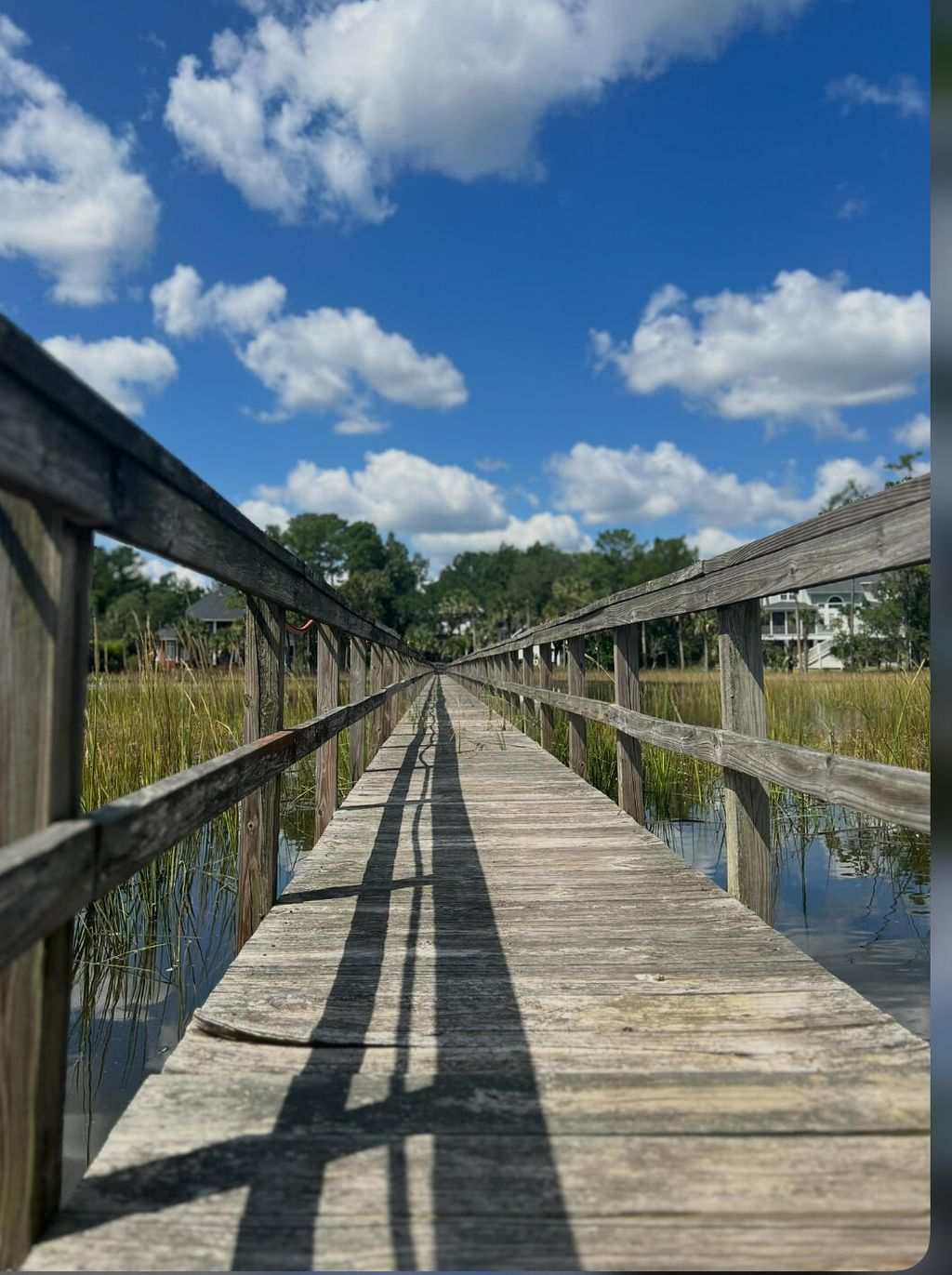 Photo of 1756 Greenspoint Court, Mount Pleasant, SC 29466 (MLS # 25027148)