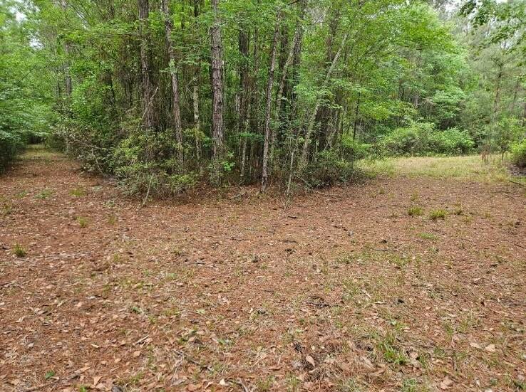 1300 Misty Ridge Lane