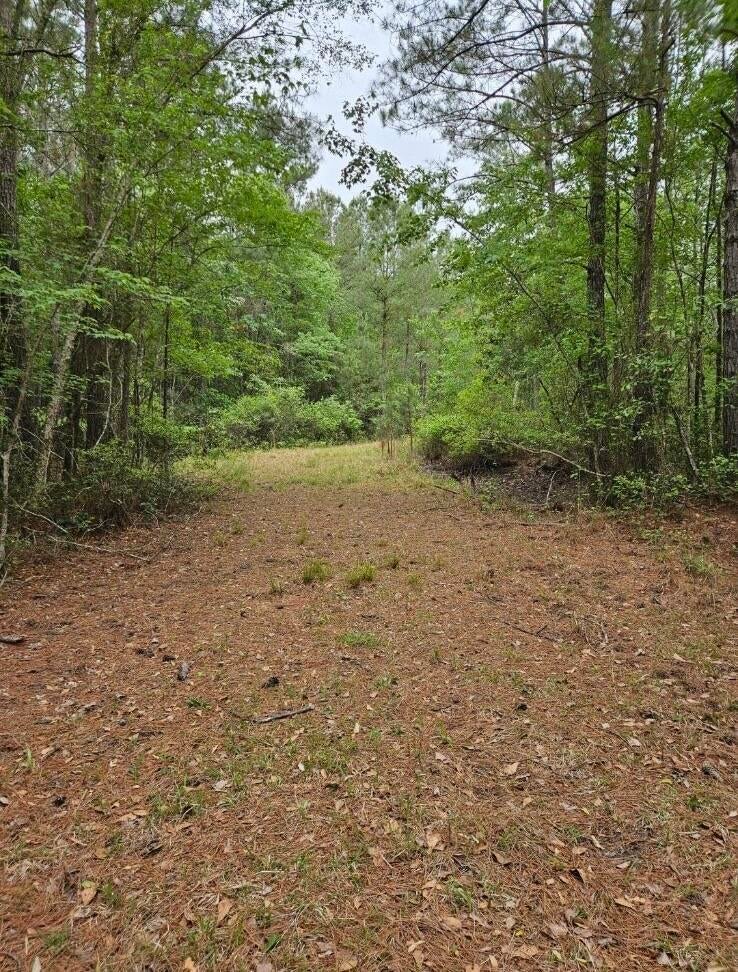 1300 Misty Ridge Lane