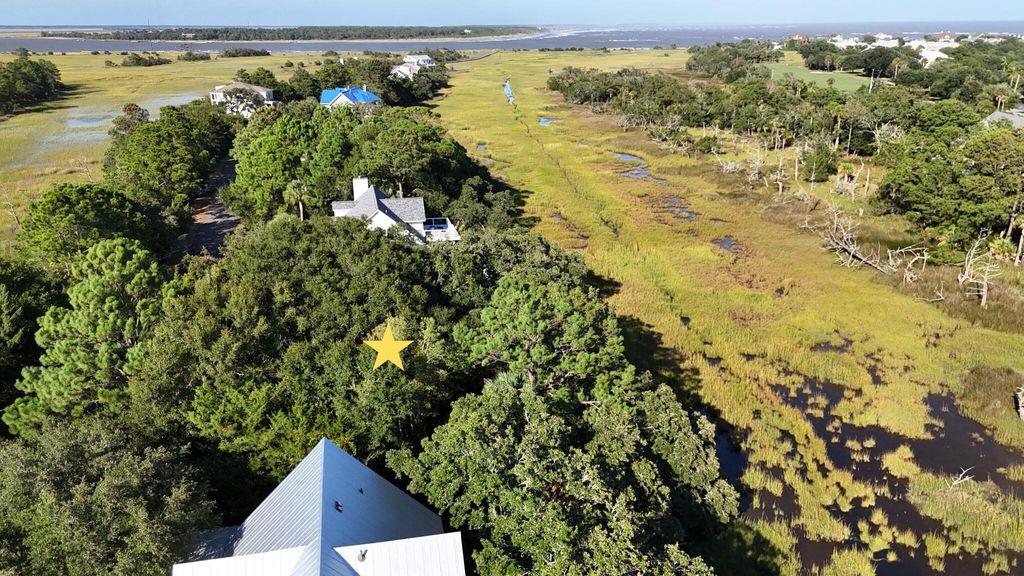 Photo of 3 Seagrass Lane, Isle of Palms, SC 29451 (MLS # 25019502)