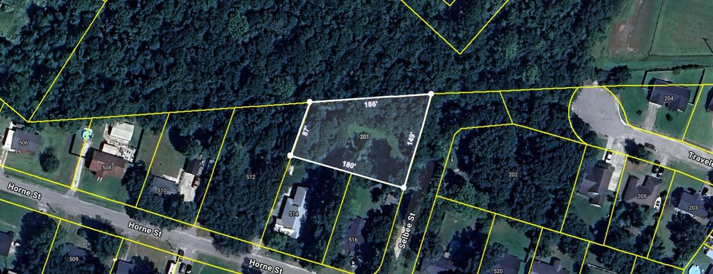 Photo of 201 Selbee Street, Moncks Corner, SC 29461 (MLS # 26010635)