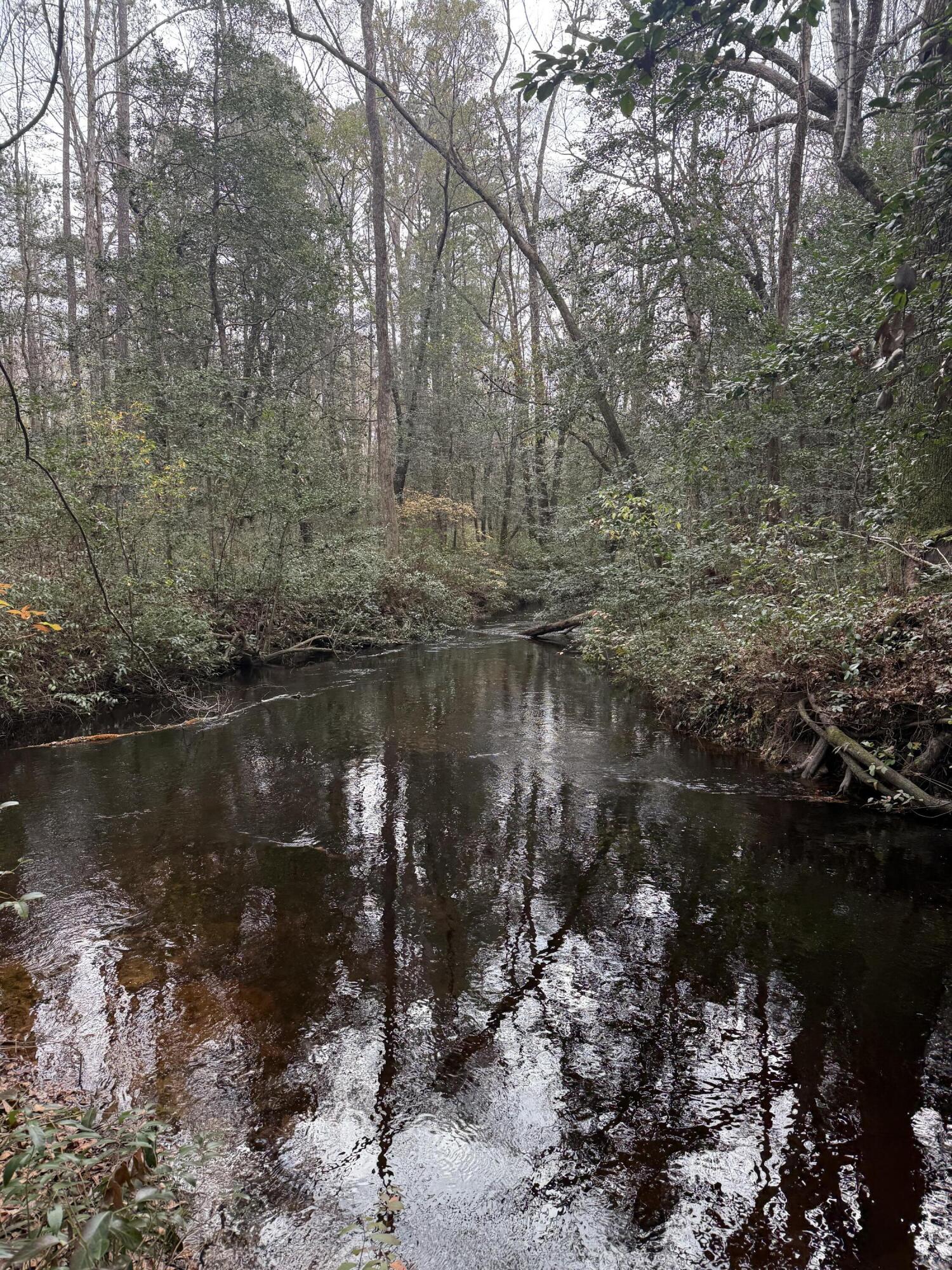 675 Vaughns Mill Pond Road