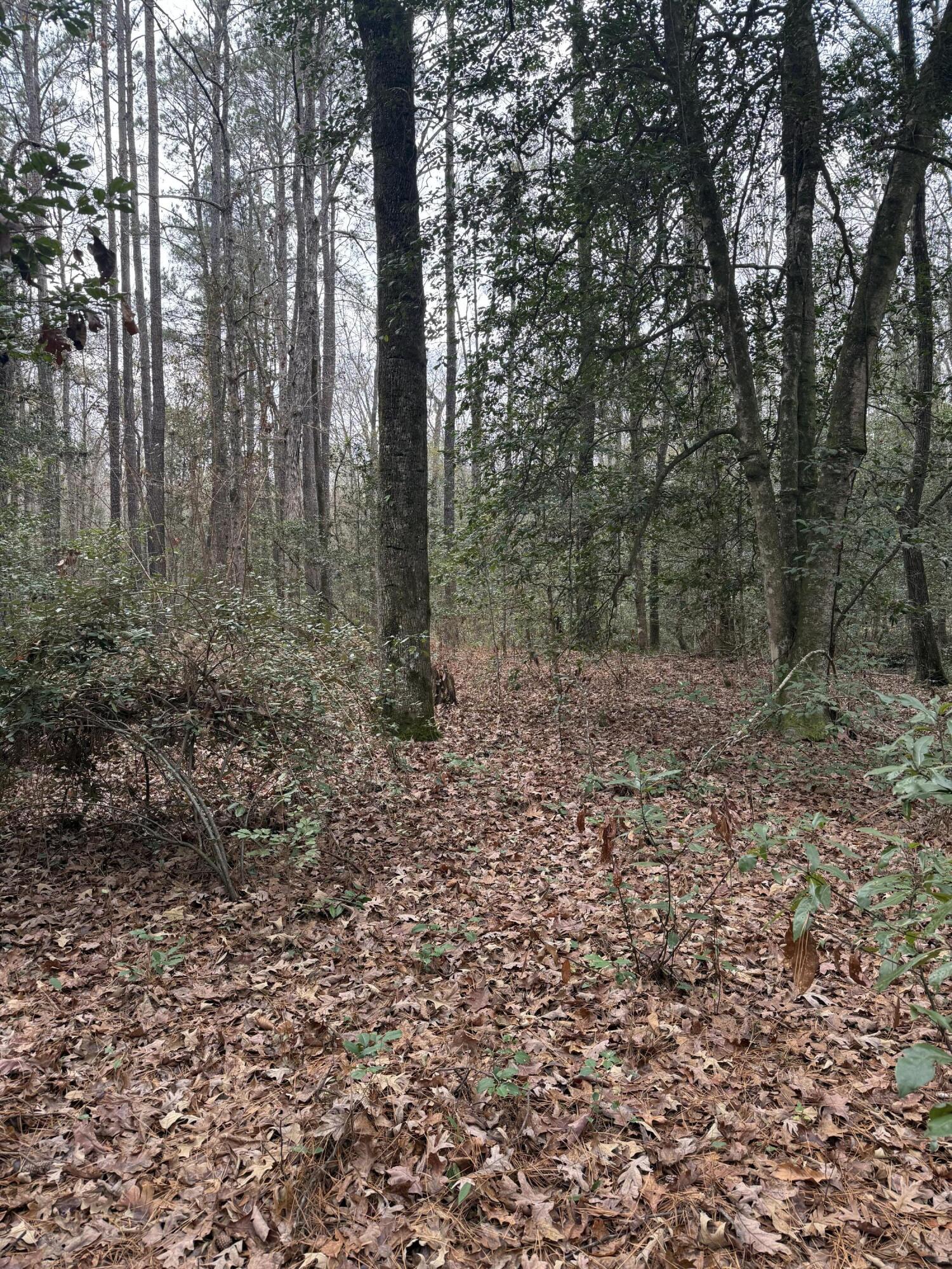 675 Vaughns Mill Pond Road