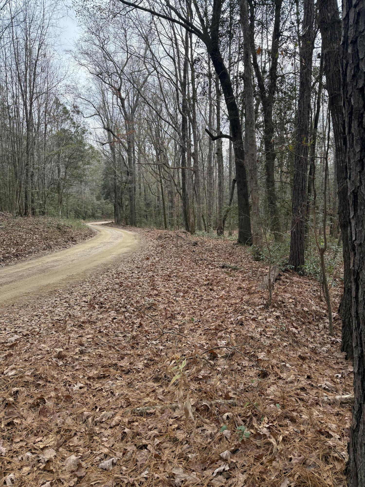 675 Vaughns Mill Pond Road