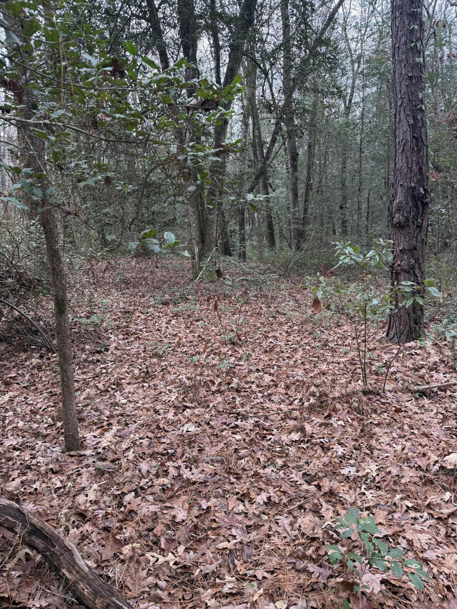 675 Vaughns Mill Pond Road