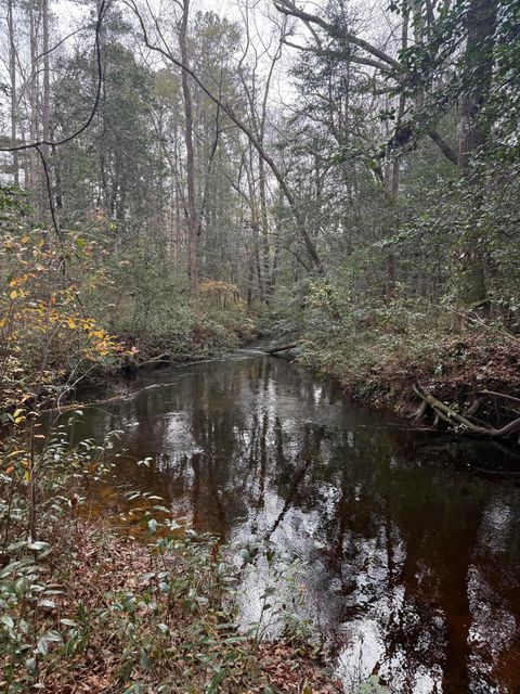 675 Vaughns Mill Pond Road Camden SC 29020