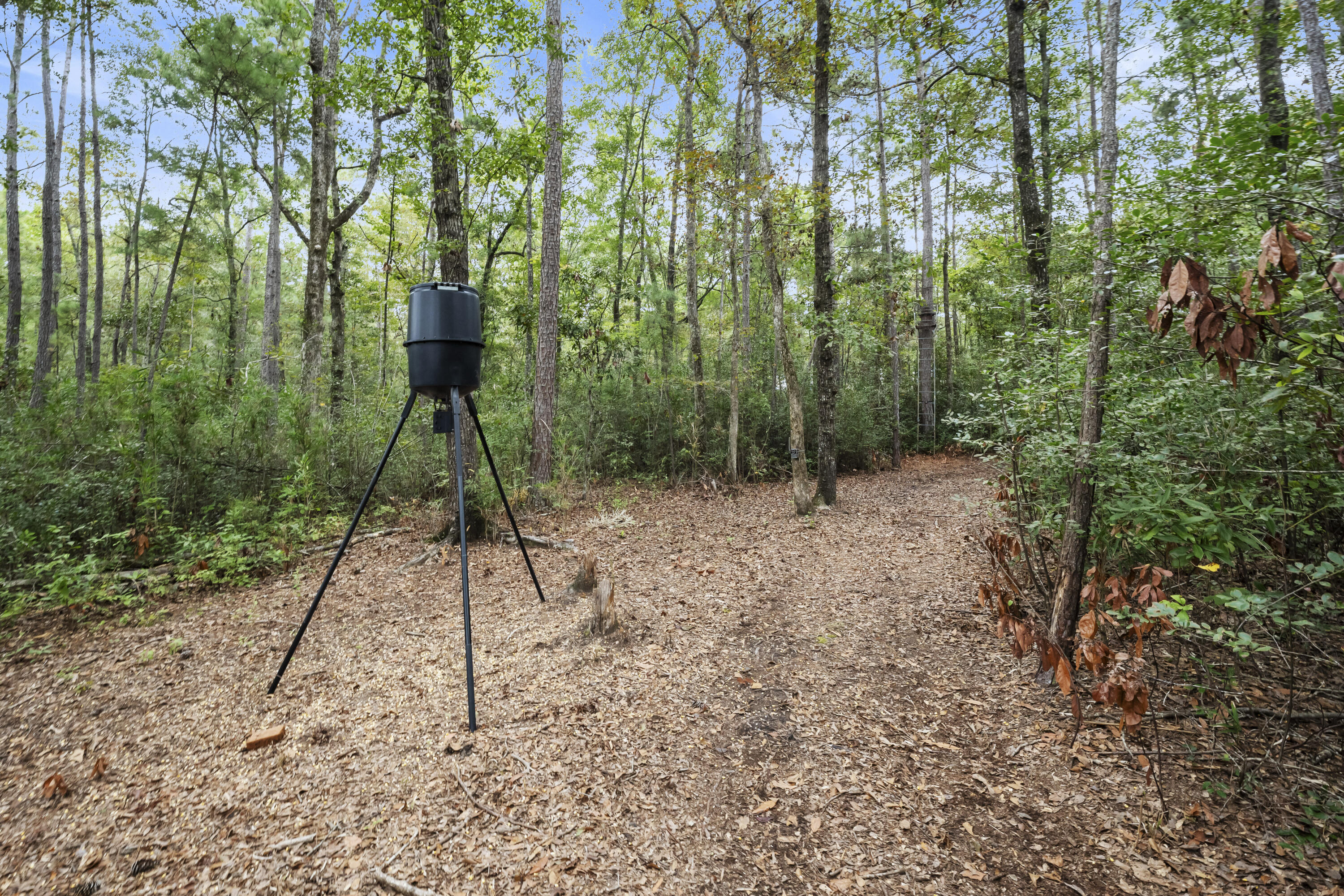 334 Bay Village Lane