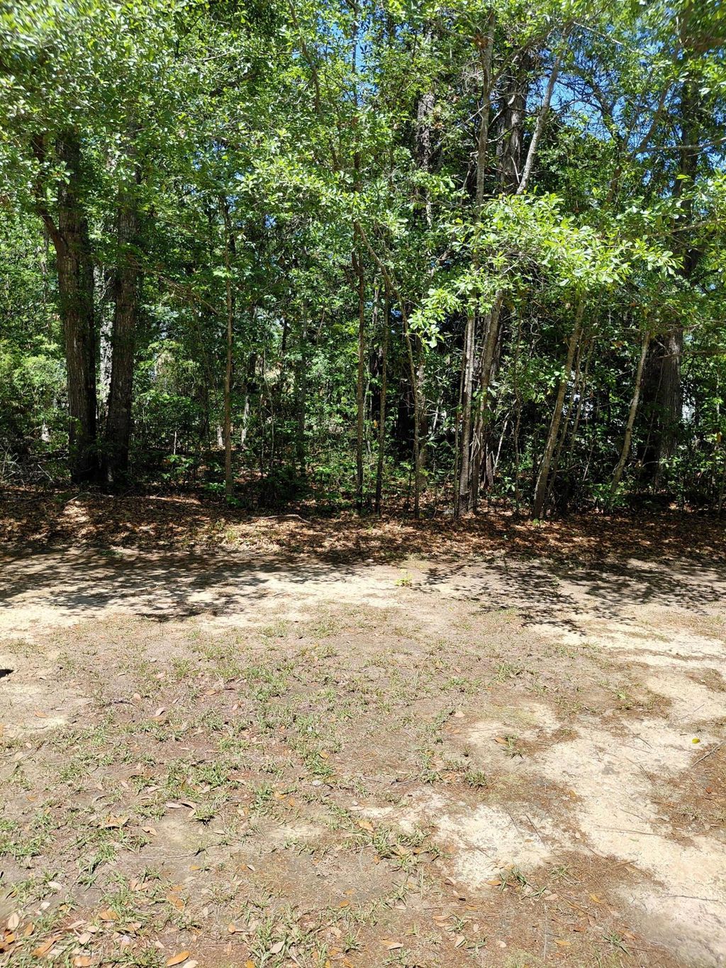Photo of 316 Hundred Oaks Parkway, Summerville, SC 29483 (MLS # 26012819)