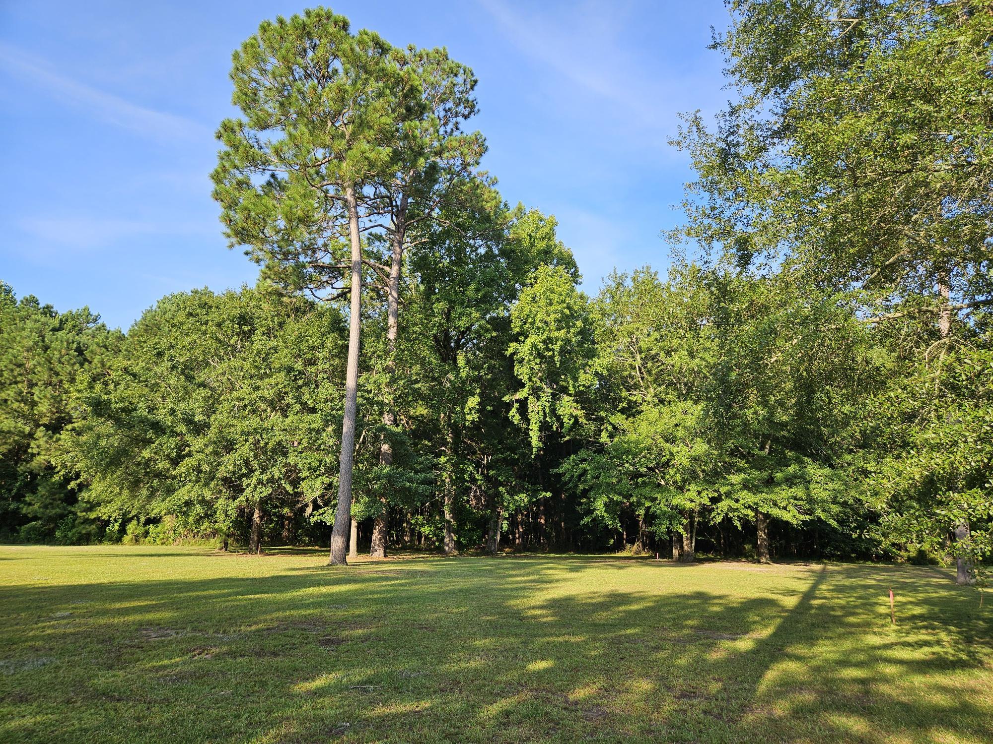 145 Woodlake Drive