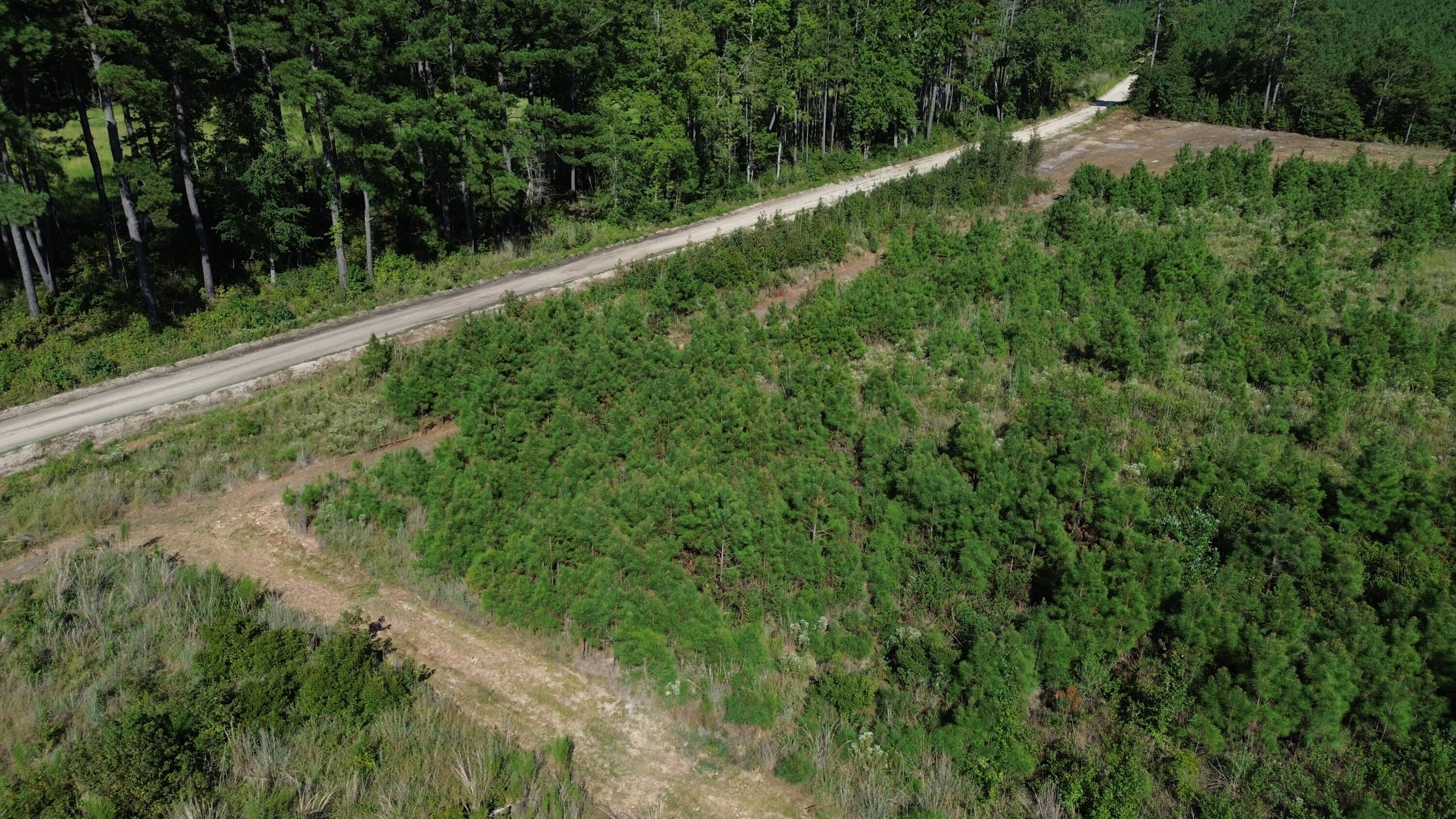 3 Bethel Forest Road
