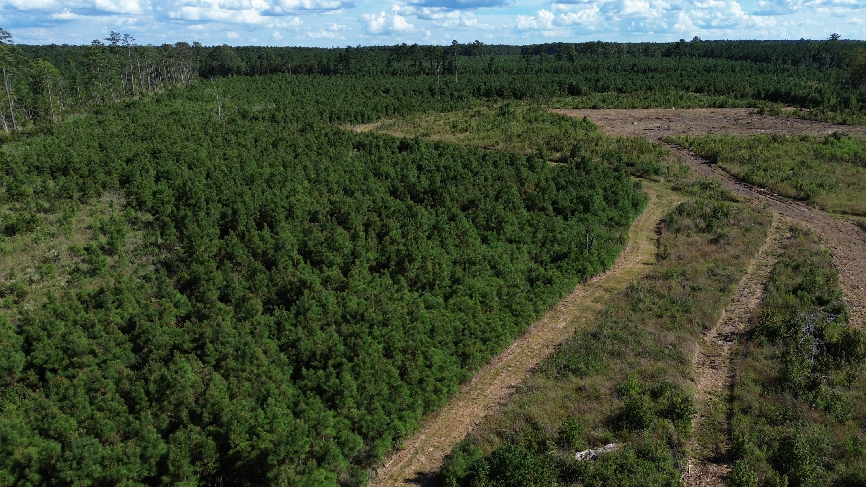 3 Bethel Forest Road