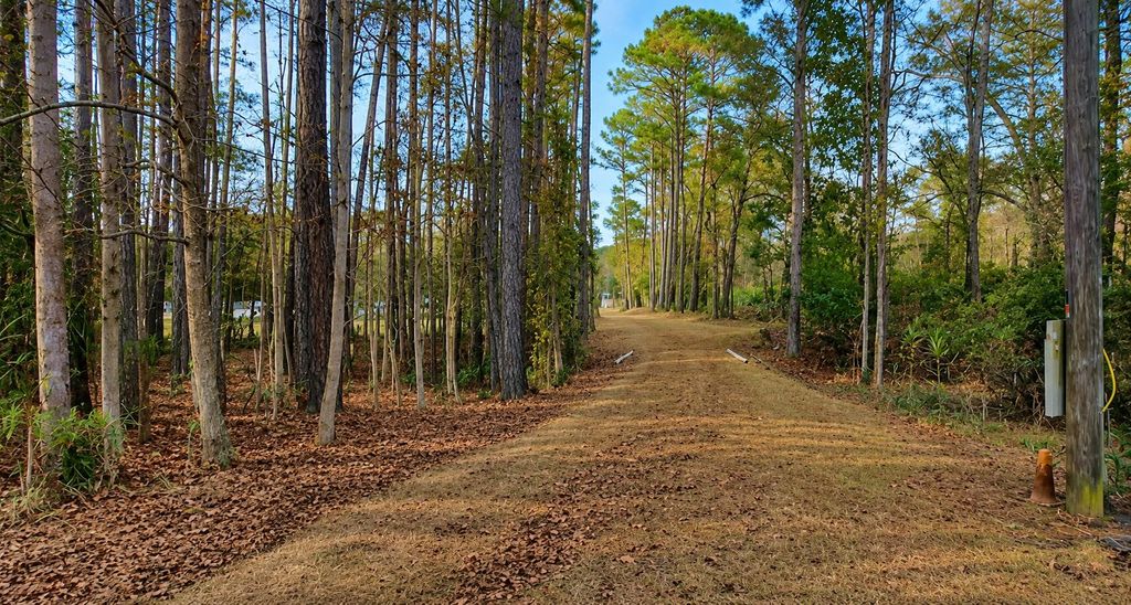 Photo of 5611 S Highway 165, Ravenel, SC 29470 (MLS # 26015506)