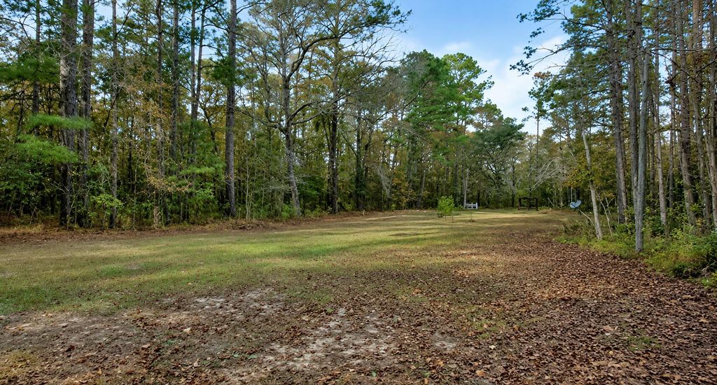Photo of 5611 S Highway 165, Ravenel, SC 29470 (MLS # 26015506)