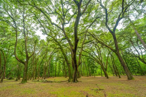 A home in Edisto Island