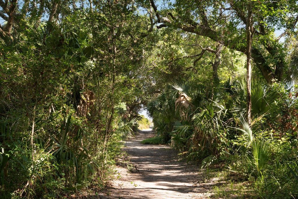 Photo of 14 55th Avenue, Isle of Palms, SC 29451 (MLS # 26003674)