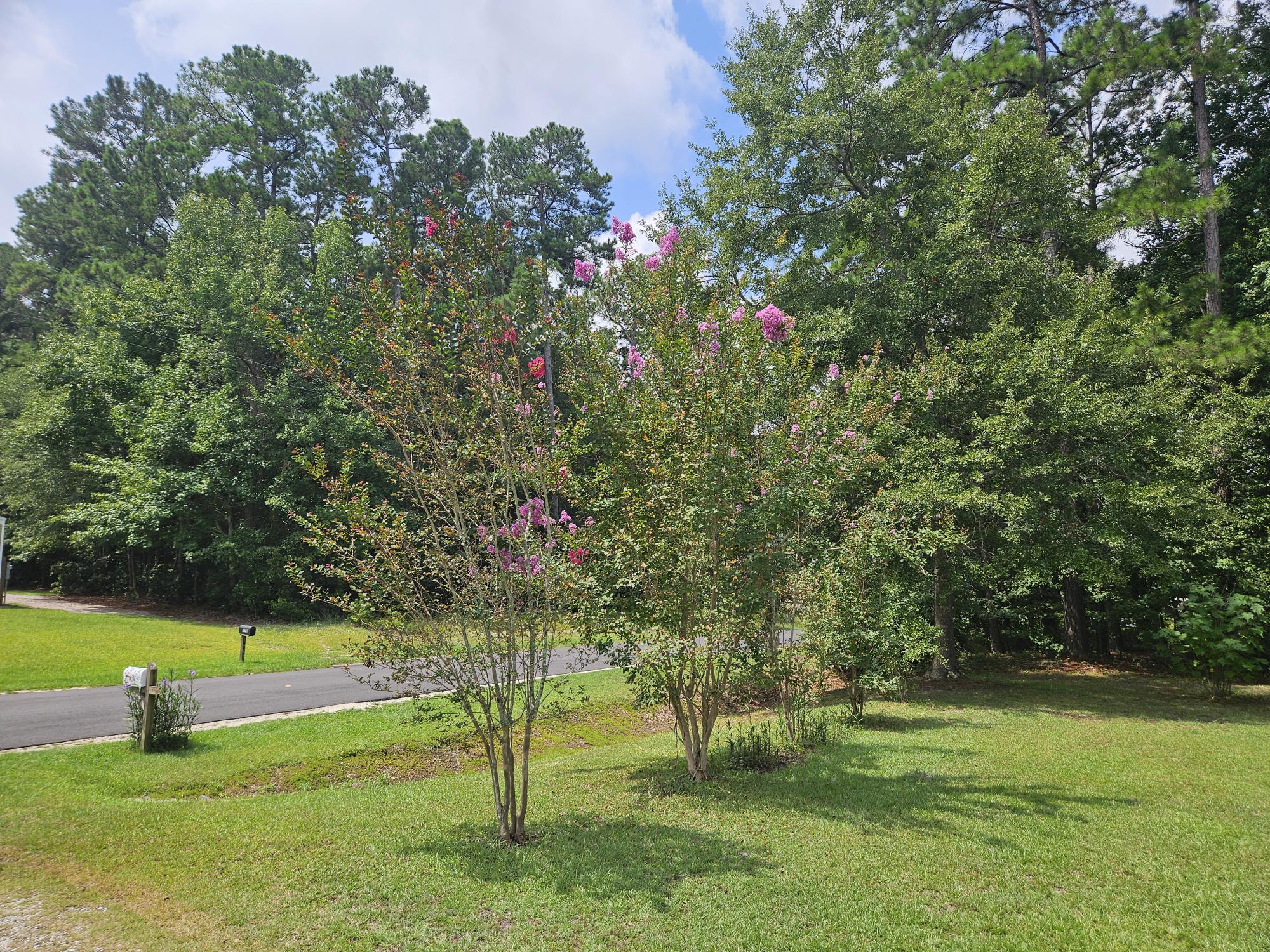 1075 Mockingbird Lane