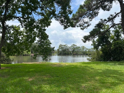 Photo of 860 N Shem Drive, Mount Pleasant, SC 29464 (MLS # 26022590)