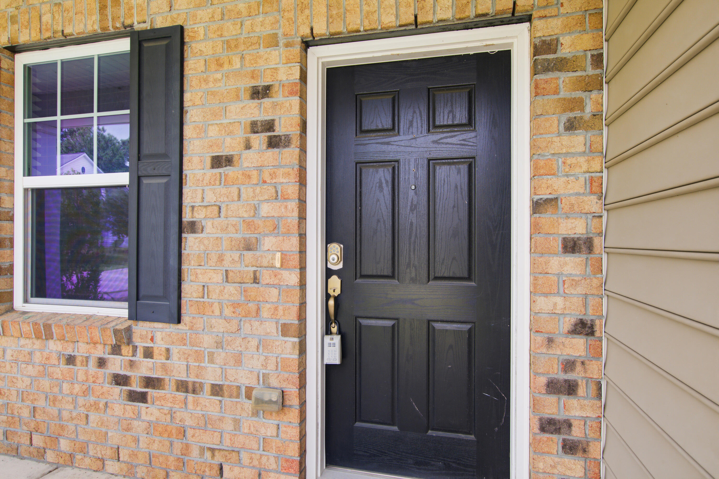 1005 Bald Cypress Drive