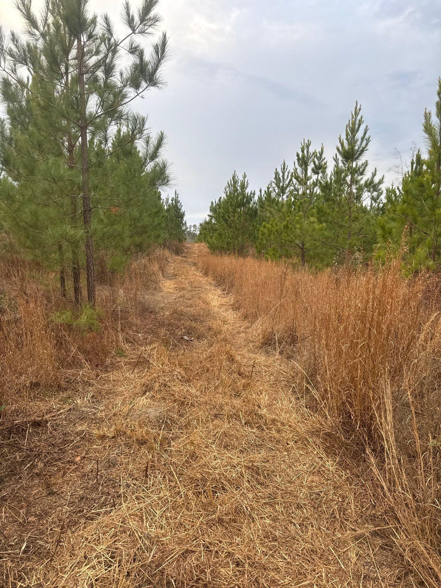 Qbf 12 Nurnberg Dr Road Unit Qbf 12, Batesburg-leesville, SC, 29070